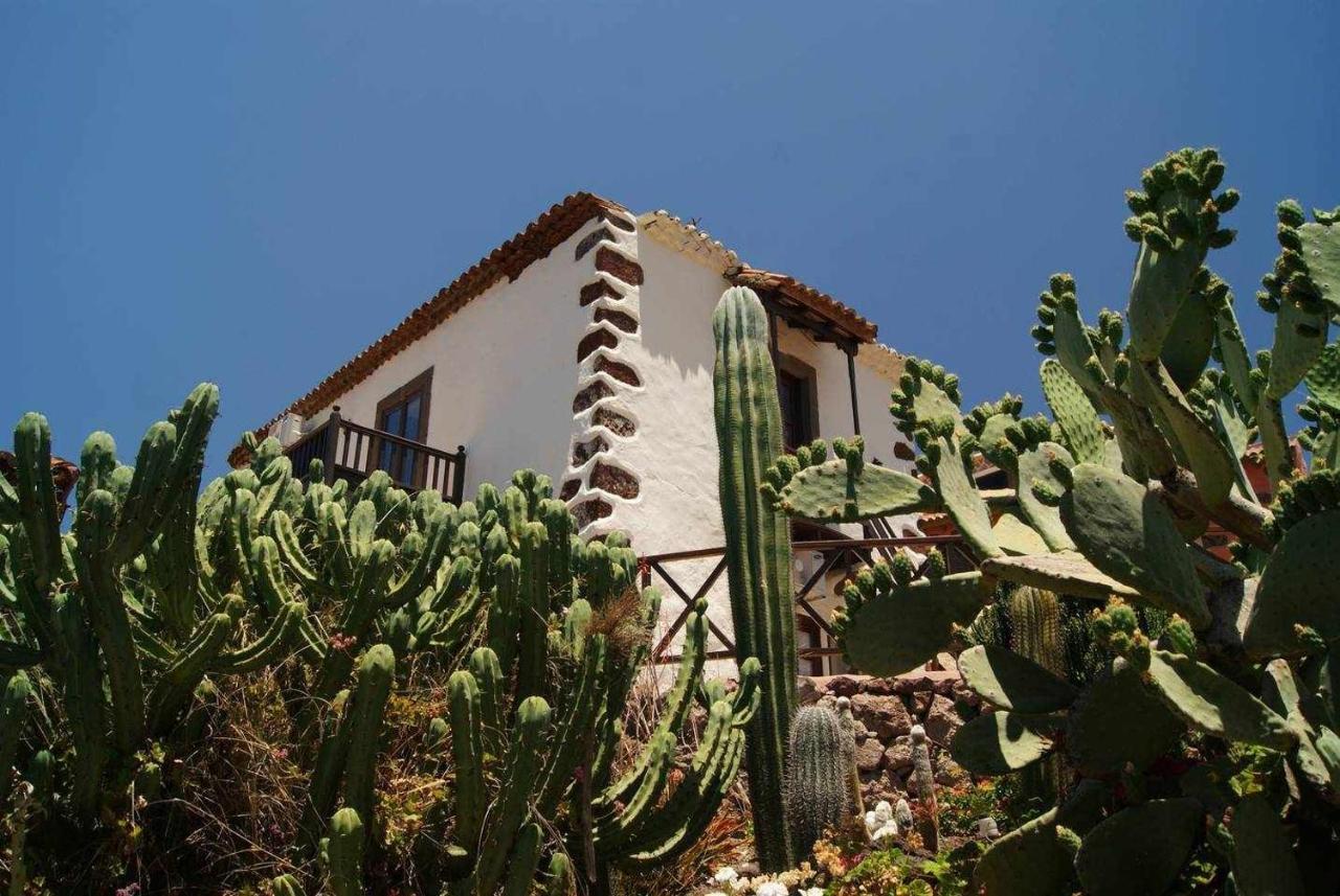 Casa Rural El Olivar La Molienda Santa Lucia De Tirajana Exterior photo