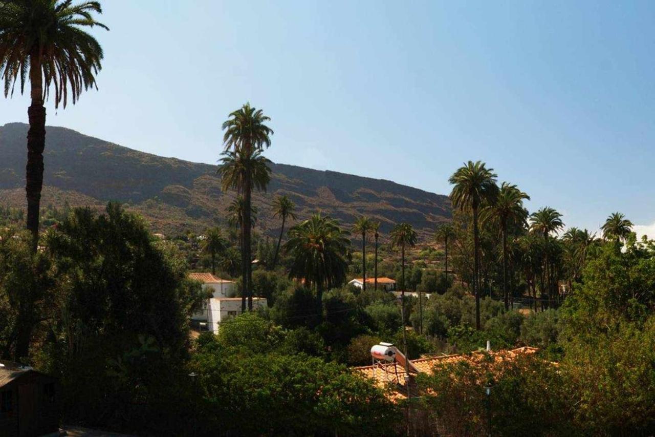 Casa Rural El Olivar La Molienda Santa Lucia De Tirajana Exterior photo